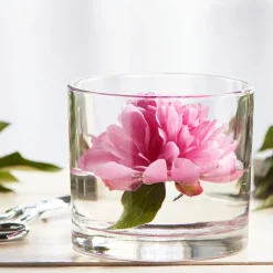 35.75 Oz Libbey Capstan Cylinder Candle Bowl | 16 Pack